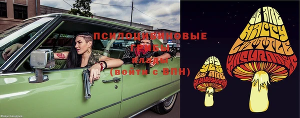 PSILOCYBIN Алексин